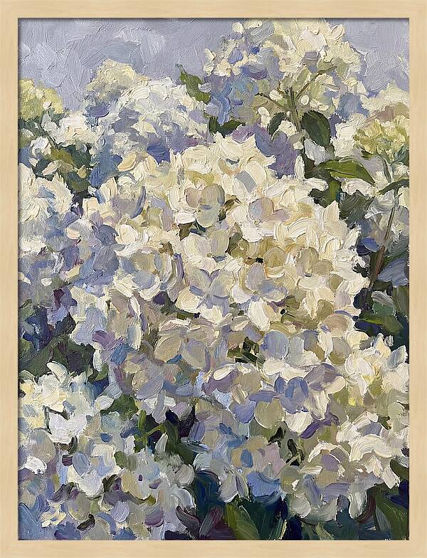 White Hydrangea Blooms