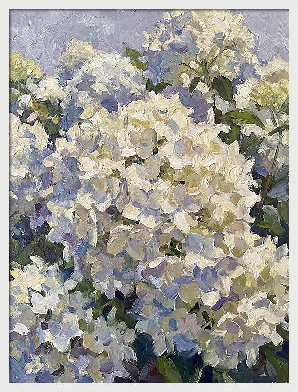 White Hydrangea Blooms