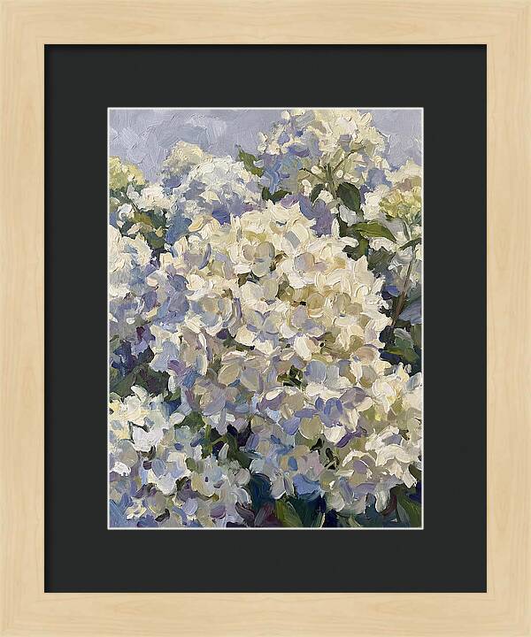 White Hydrangea Blooms
