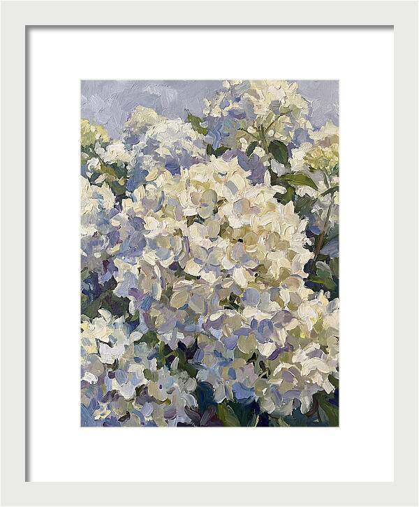 White Hydrangea Blooms