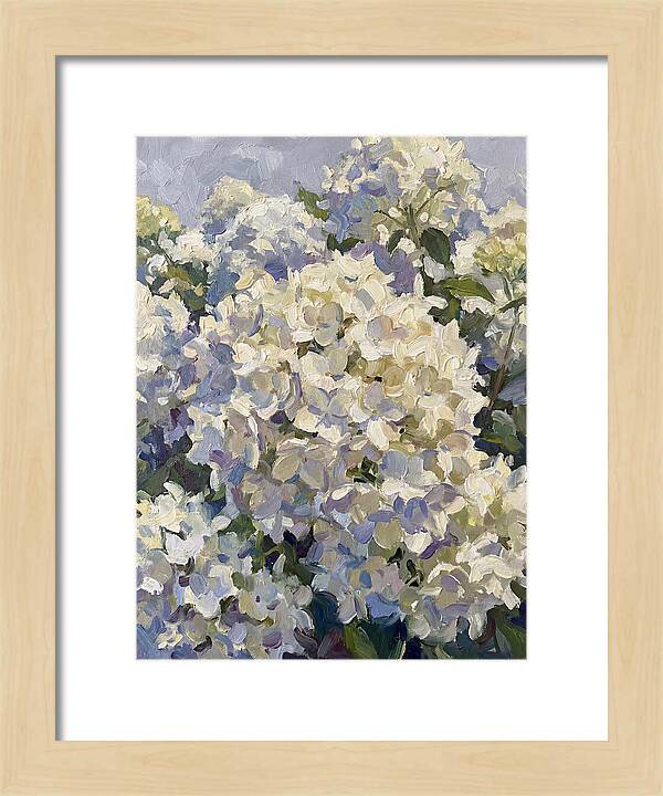 White Hydrangea Blooms