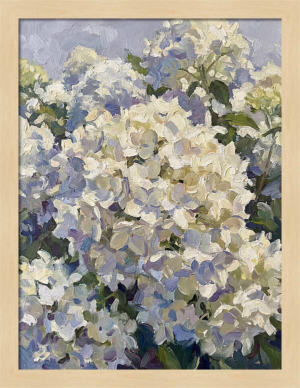 White Hydrangea Blooms