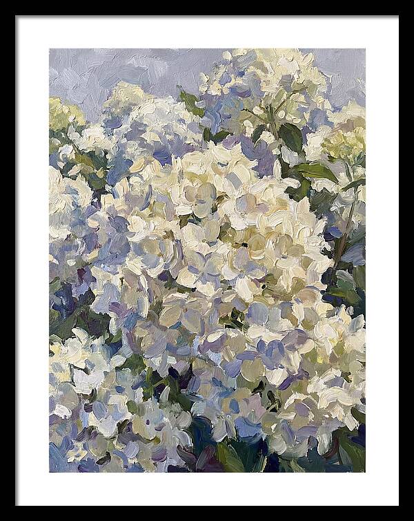 White Hydrangea Blooms