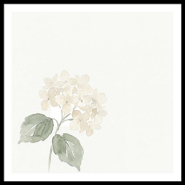White Hydrangea Elegance
