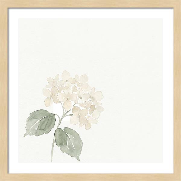 White Hydrangea Elegance
