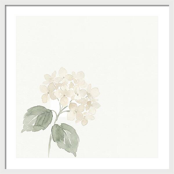 White Hydrangea Elegance