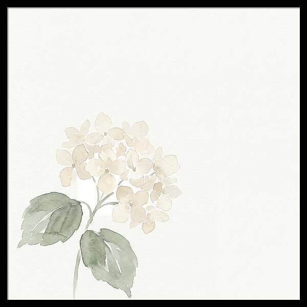 White Hydrangea Elegance