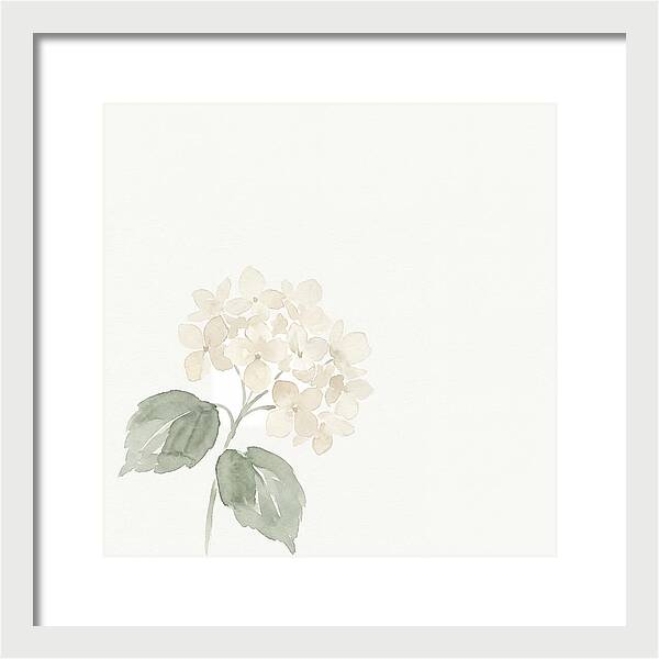White Hydrangea Elegance