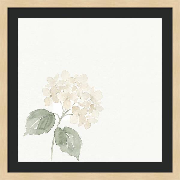 White Hydrangea Elegance