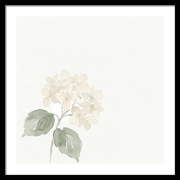 White Hydrangea Elegance