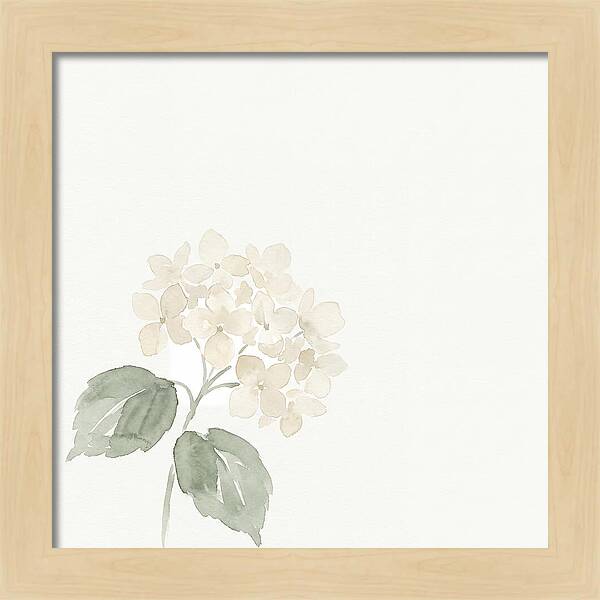 White Hydrangea Elegance
