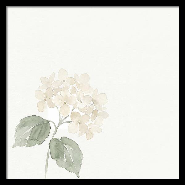 White Hydrangea Elegance