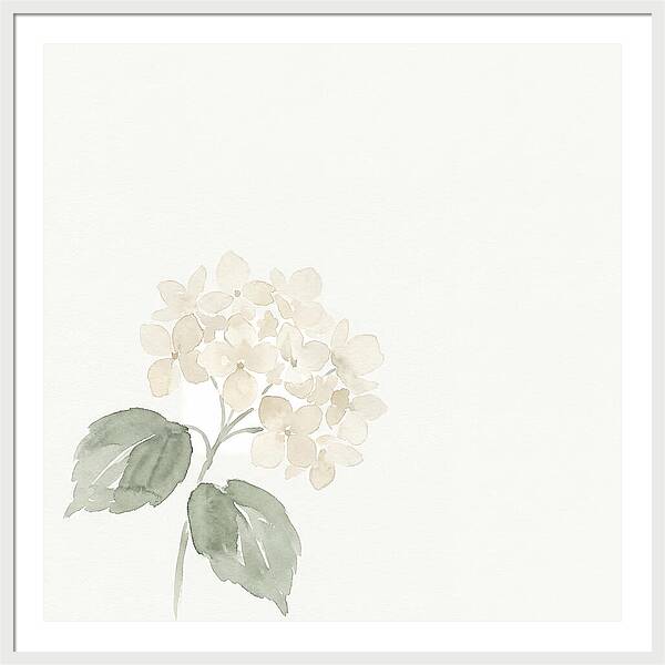 White Hydrangea Elegance