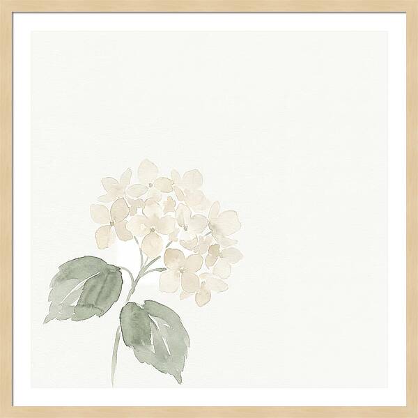 White Hydrangea Elegance