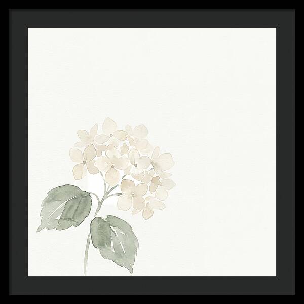 White Hydrangea Elegance