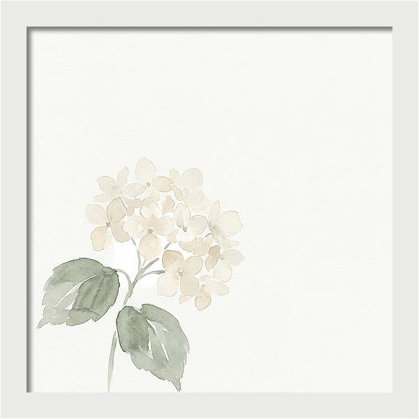 White Hydrangea Elegance