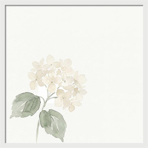 White Hydrangea Elegance