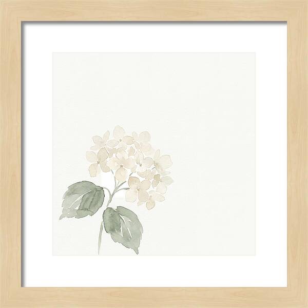 White Hydrangea Elegance