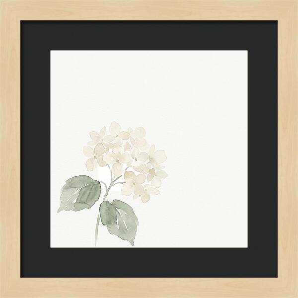 White Hydrangea Elegance