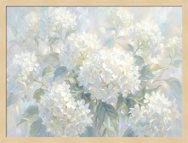 White Hydrangeas