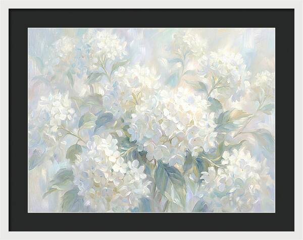White Hydrangeas