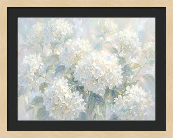 White Hydrangeas
