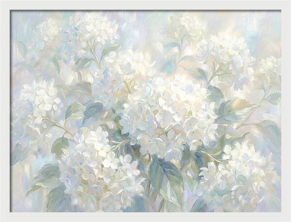 White Hydrangeas