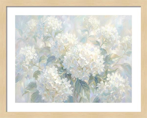 White Hydrangeas