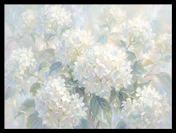 White Hydrangeas