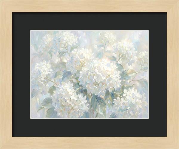 White Hydrangeas