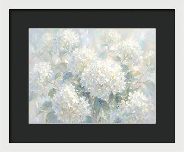 White Hydrangeas
