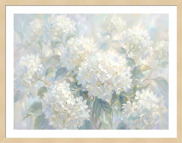 White Hydrangeas