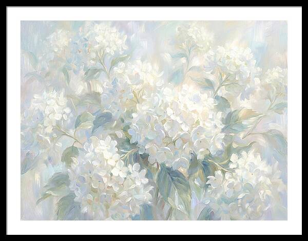 White Hydrangeas