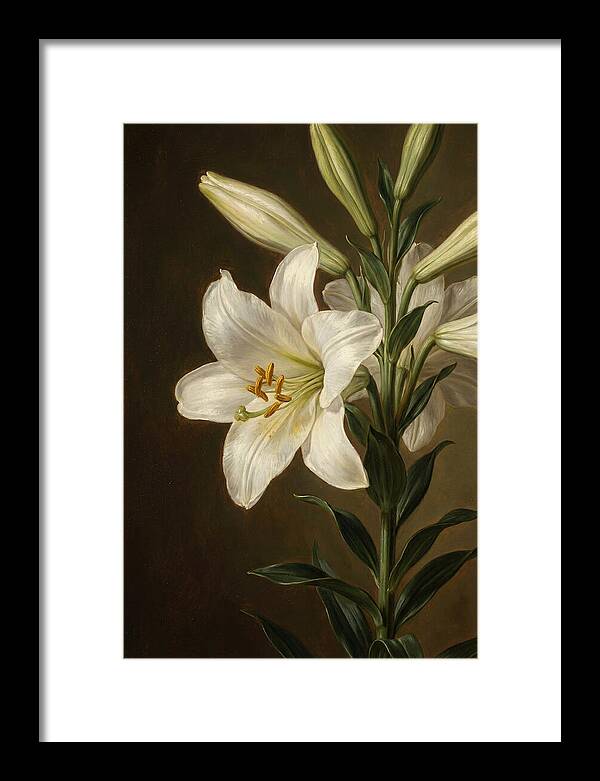 White Lily Elegance