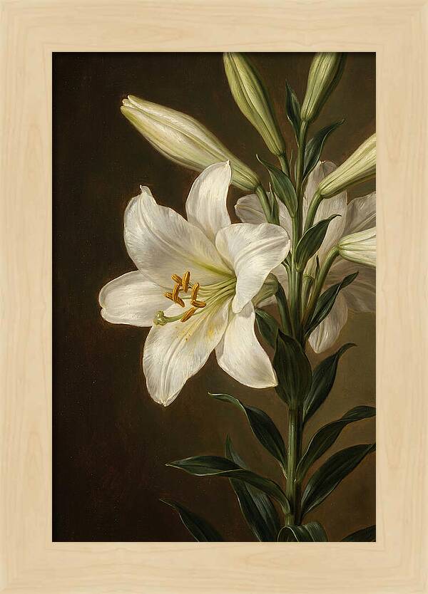 White Lily Elegance