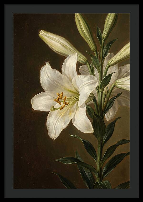 White Lily Elegance