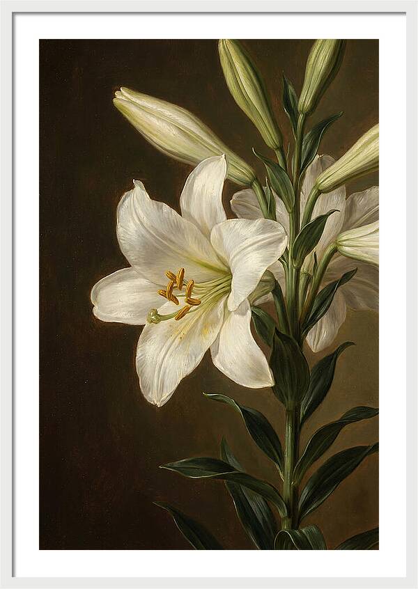 White Lily Elegance