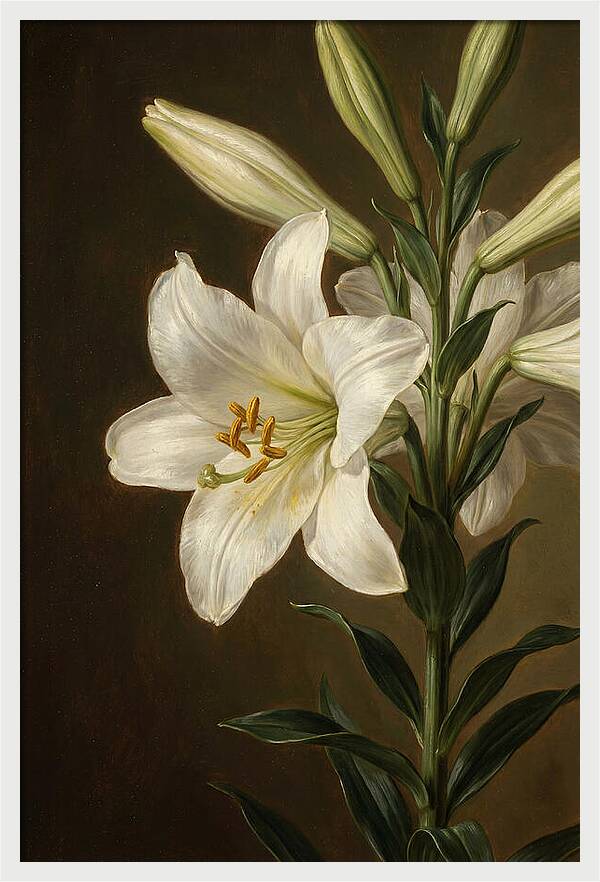 White Lily Elegance