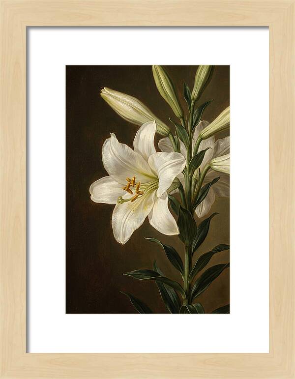 White Lily Elegance