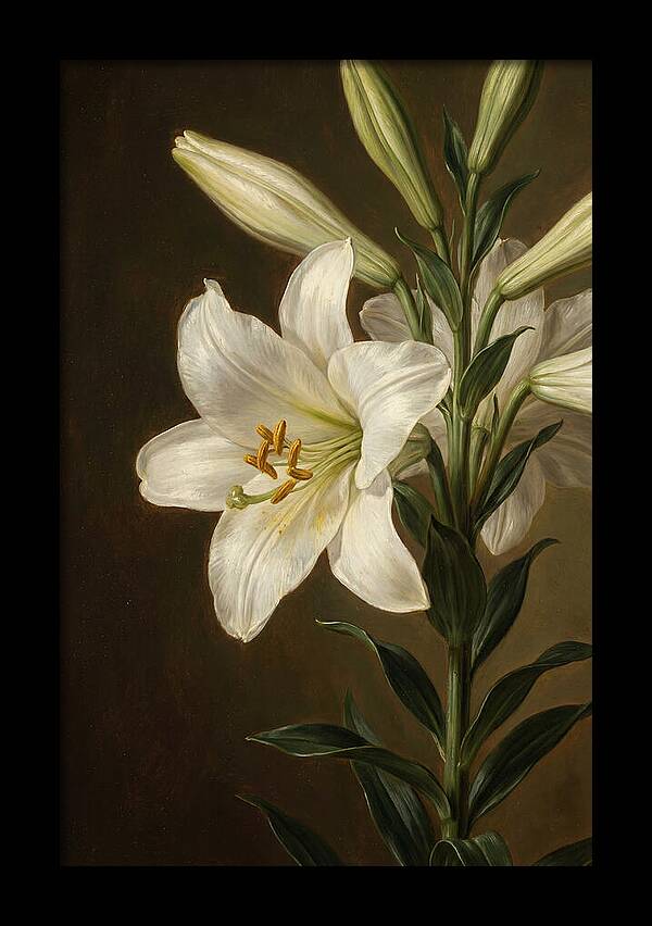 White Lily Elegance