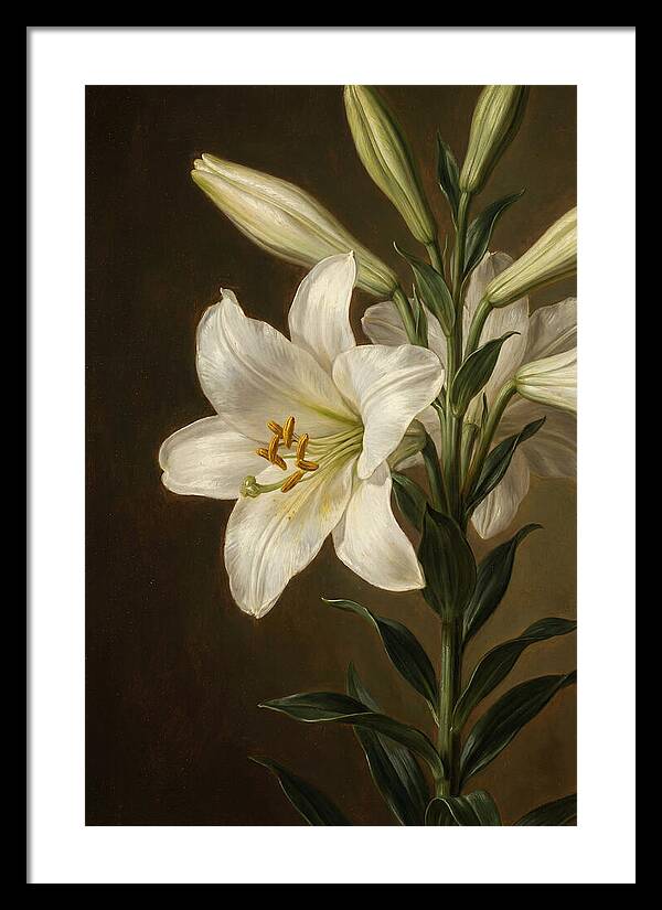 White Lily Elegance