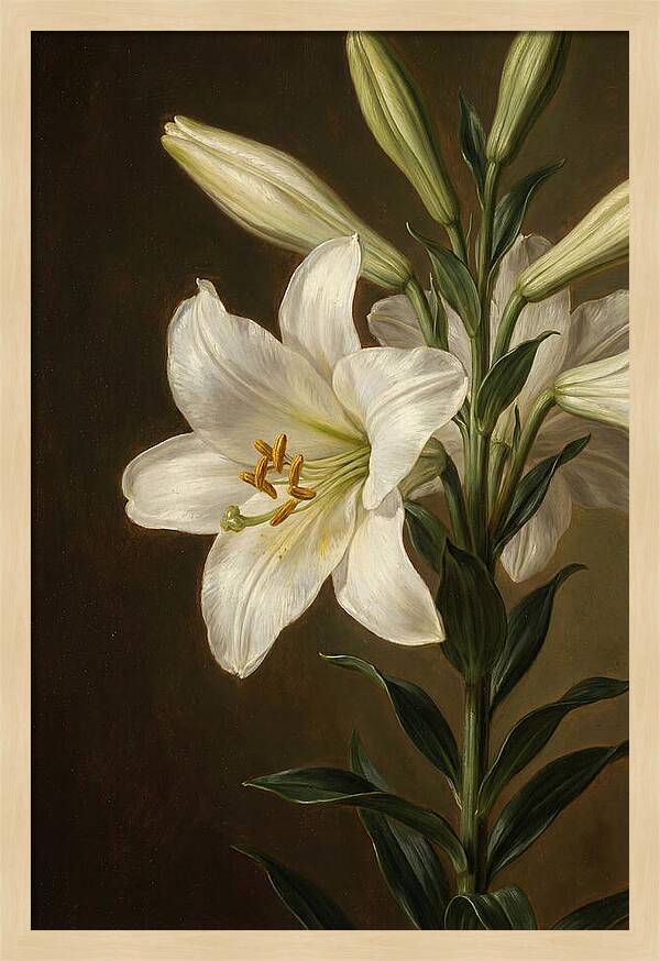White Lily Elegance