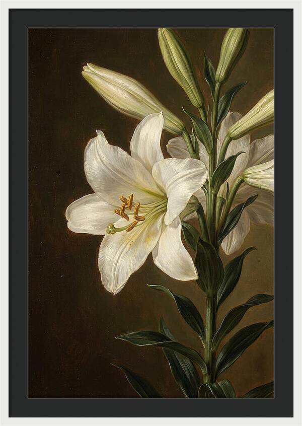 White Lily Elegance
