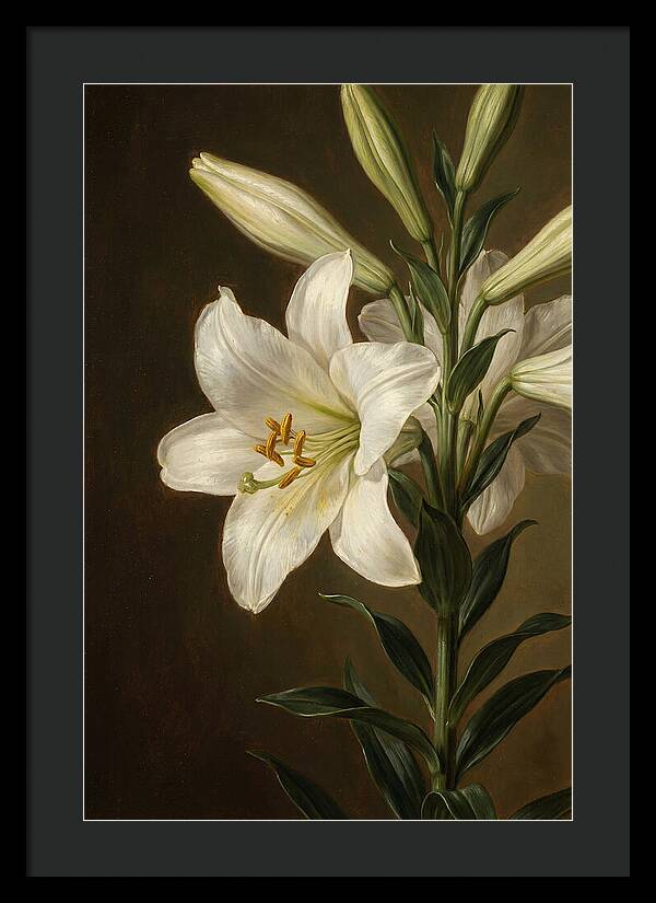 White Lily Elegance
