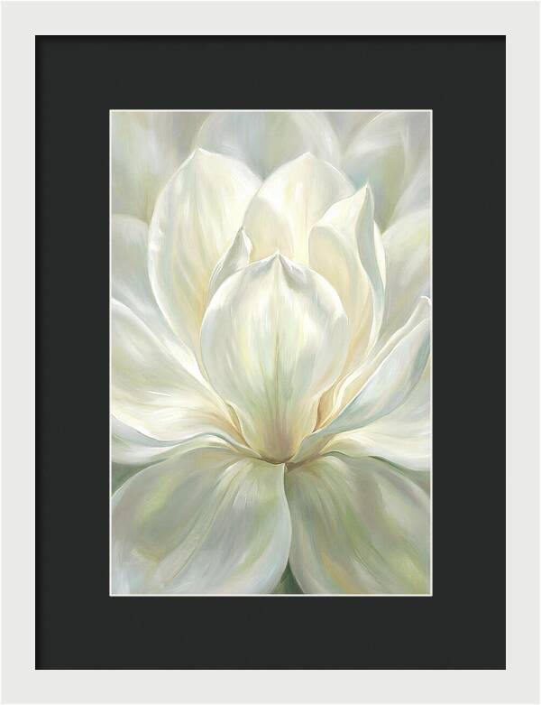 White Magnolia Blossom