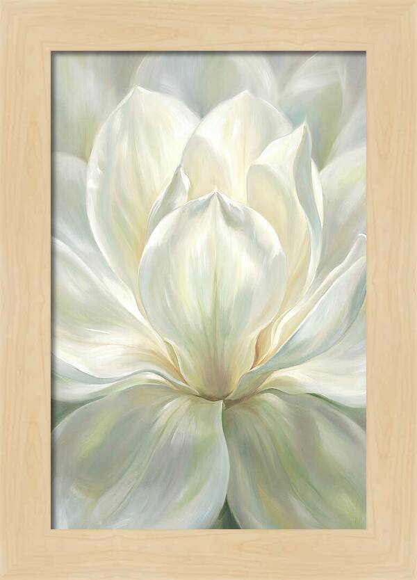 White Magnolia Blossom