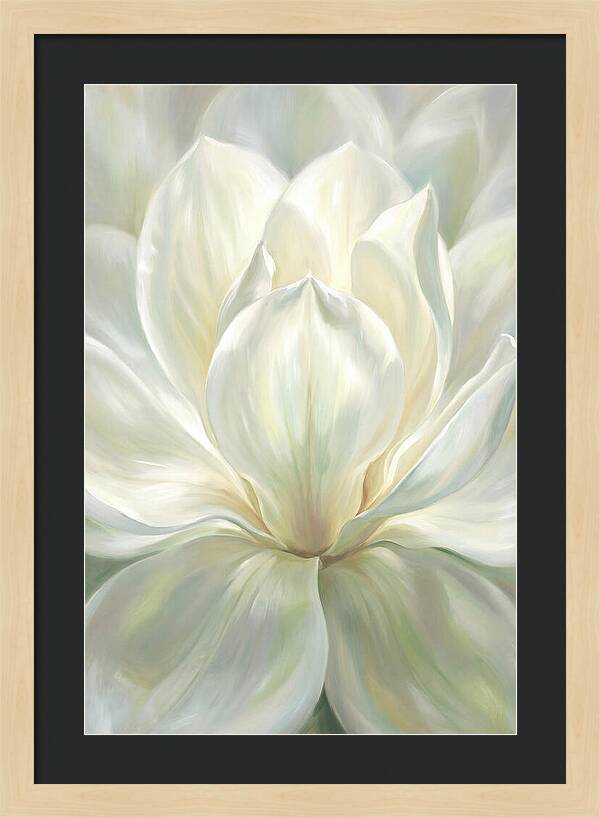 White Magnolia Blossom