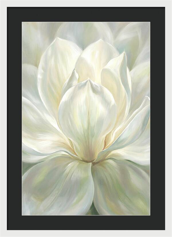 White Magnolia Blossom