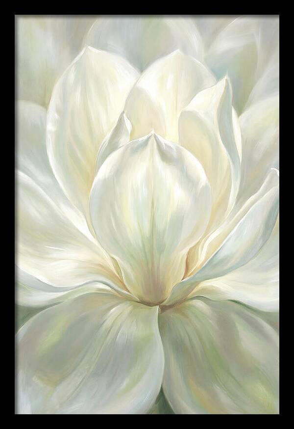 White Magnolia Blossom