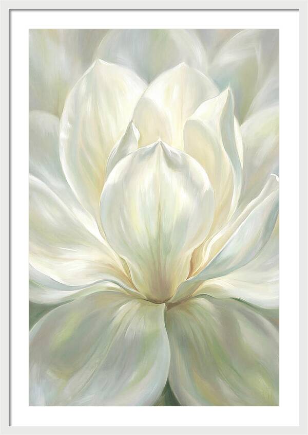 White Magnolia Blossom